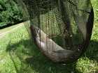 334.jpg